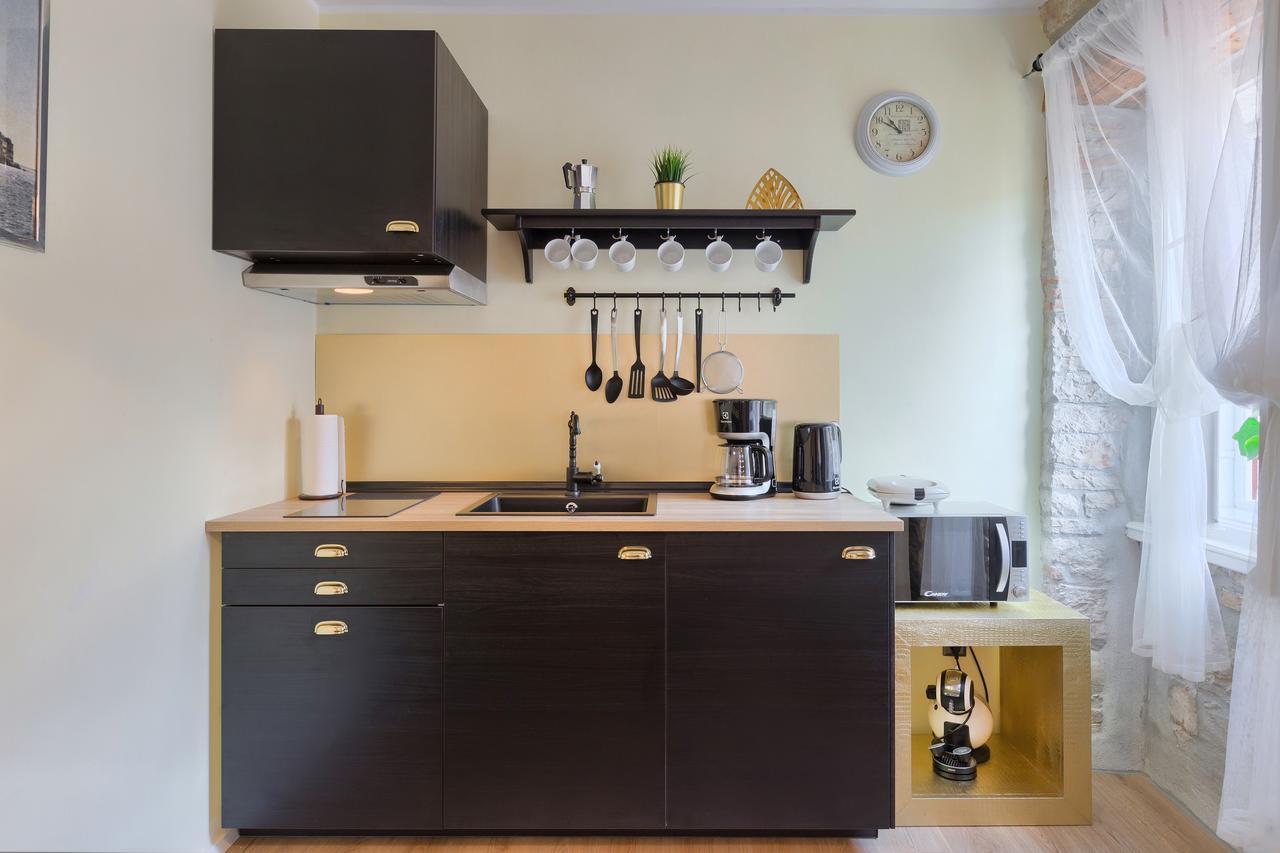 Luxury Apartment Fabris Ρόβινι Εξωτερικό φωτογραφία